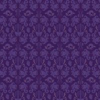 dsStella-DCM3810 NIGHTSHADE